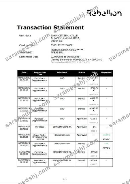 Spain Rebellion Pay transaction statement Word and PDF template
